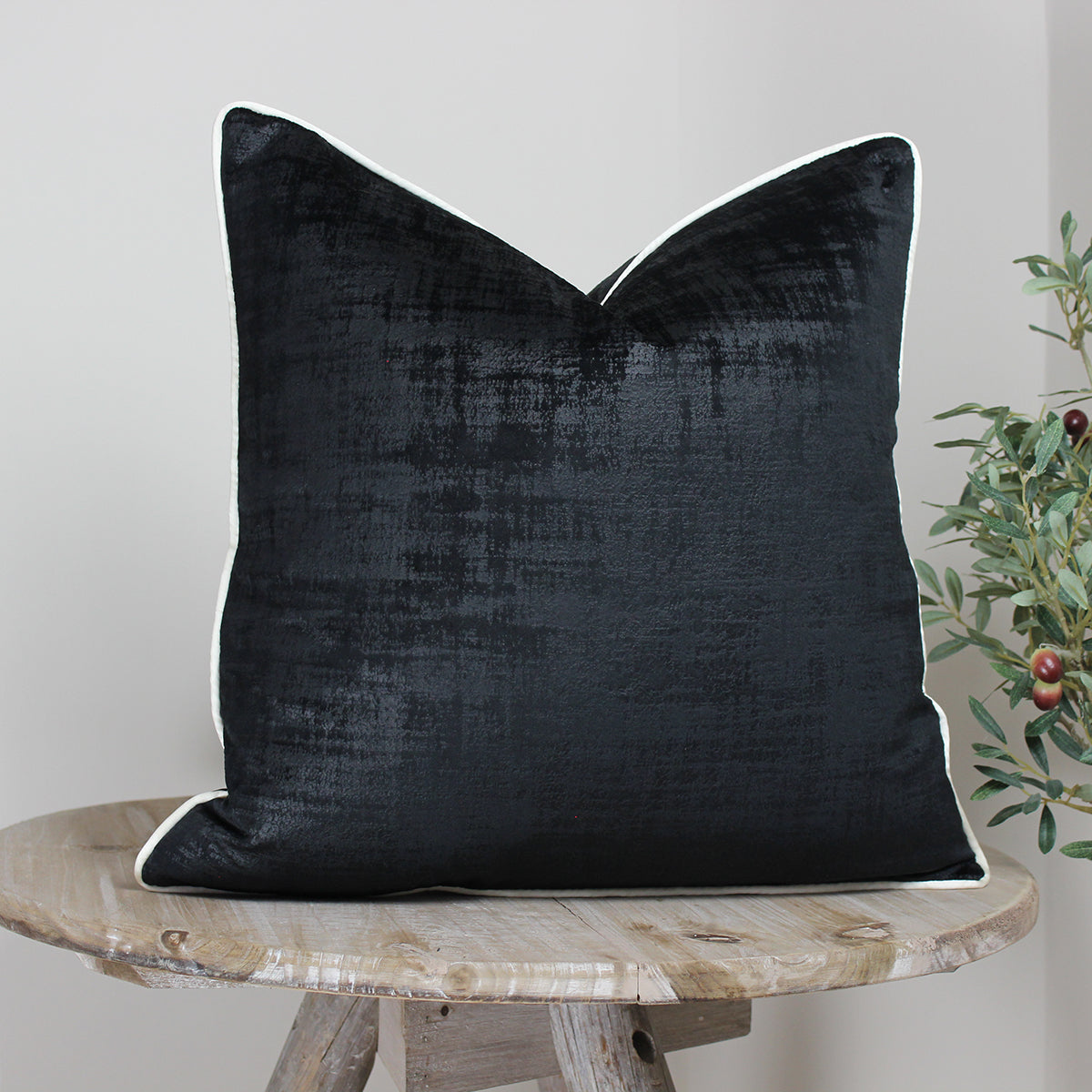 Azurite Black Cushion with Ivory Piping